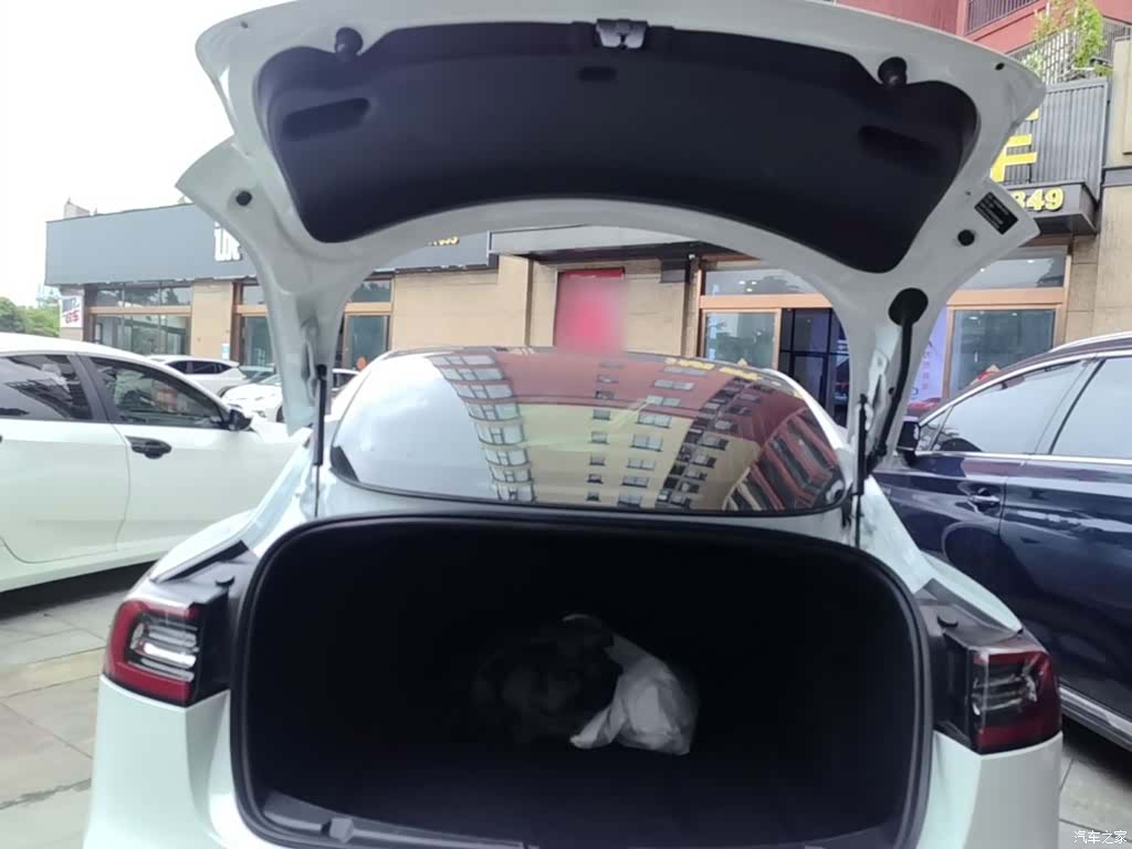 Tesla Model 3, 2020 19