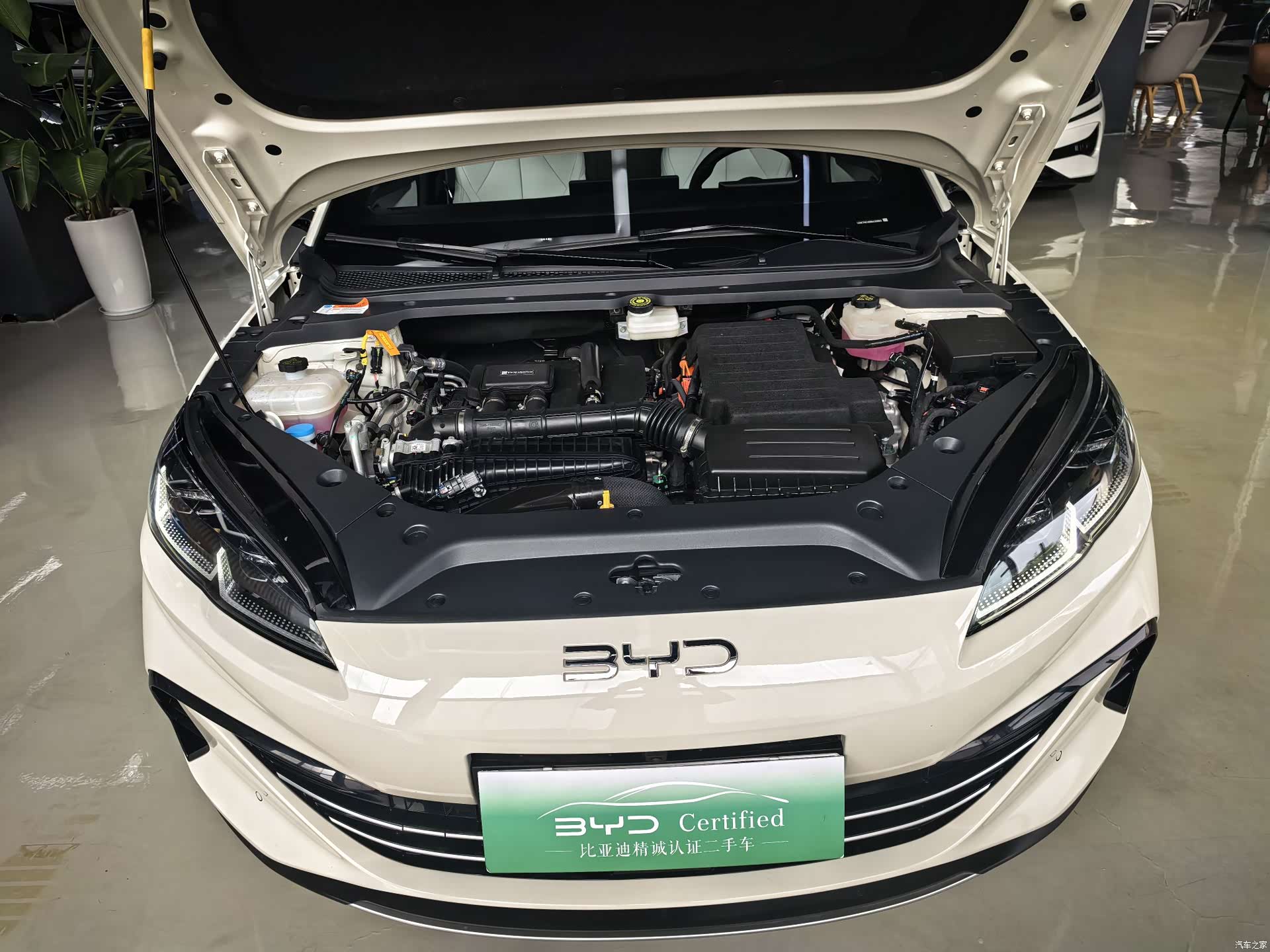 BYD Seal, 2024 20
