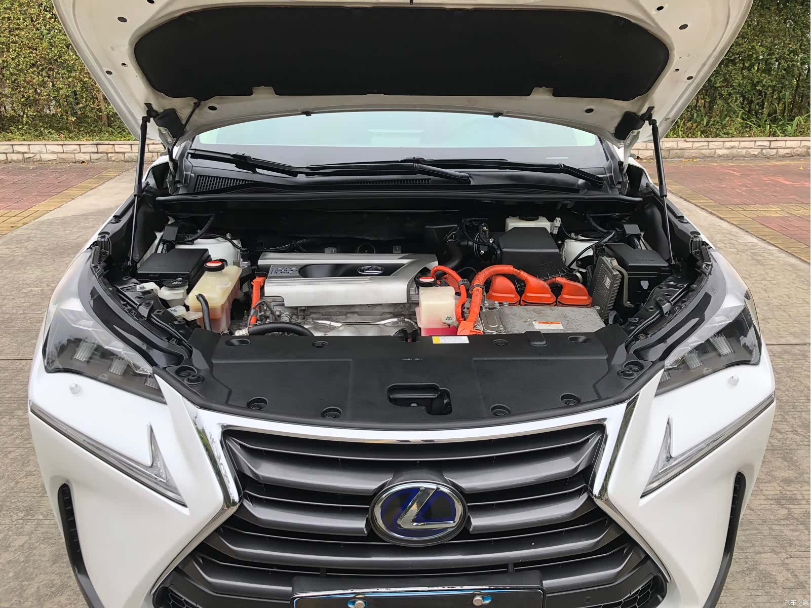 Lexus NX, 2016 17