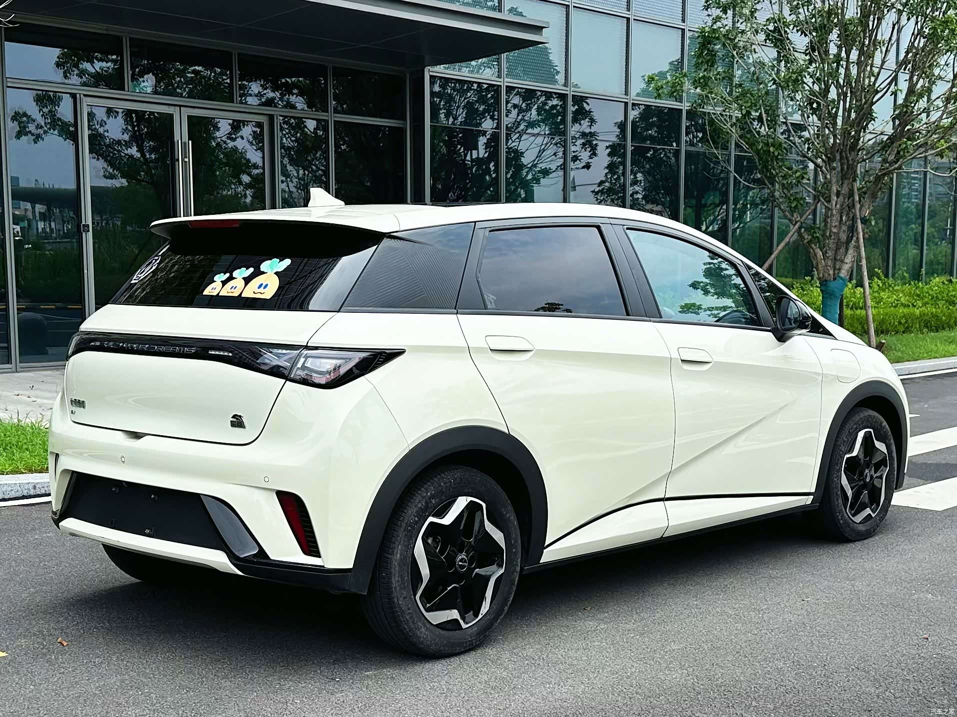 BYD Dolphin, 2023 9