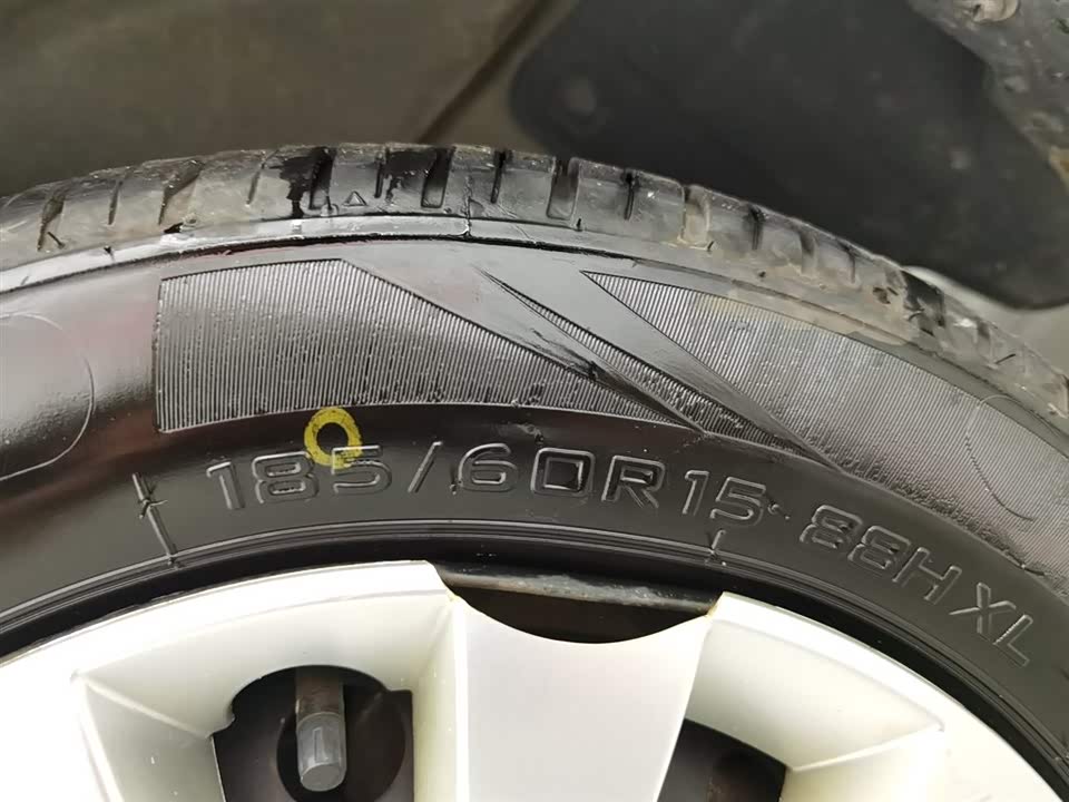 Shineray Golden Sea Lion M