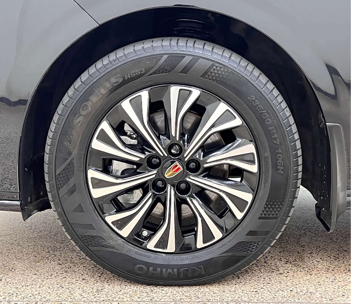 Hongqi HQ9, 2024 9