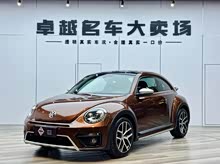 �׿ǳ� 2016�� 180TSI ɳ��ԽҰ��