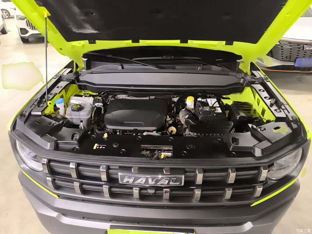 Haval Cool Dog, 2022 16