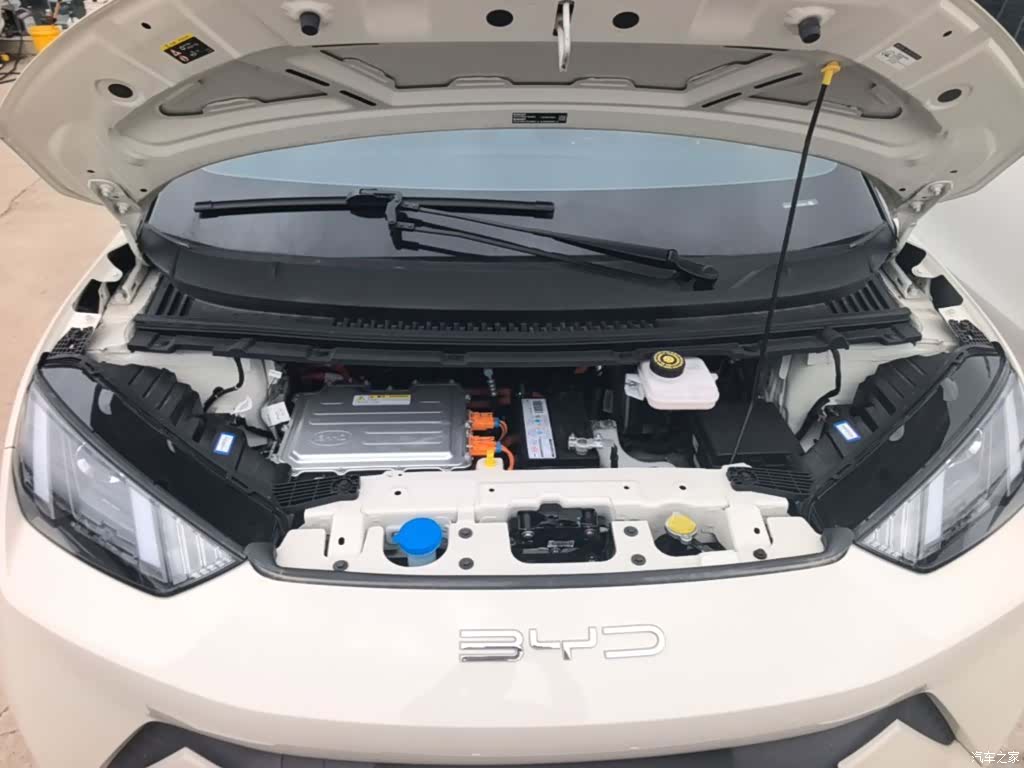 BYD Seagull, 2024 20