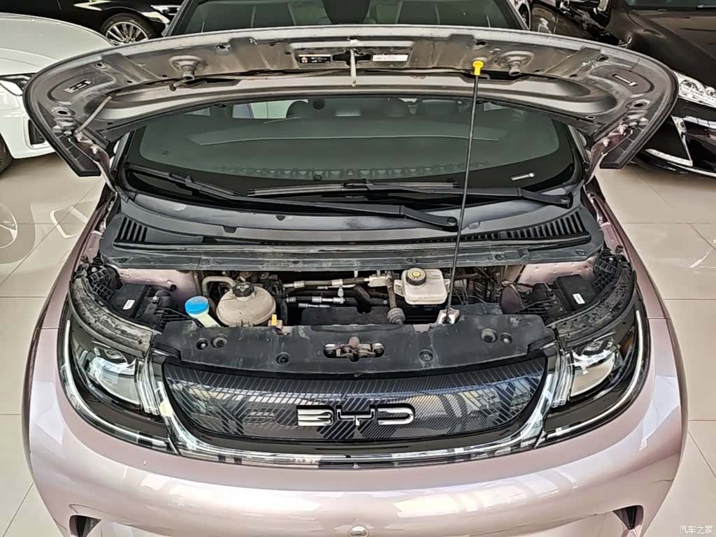 BYD Dolphin, 2022 20