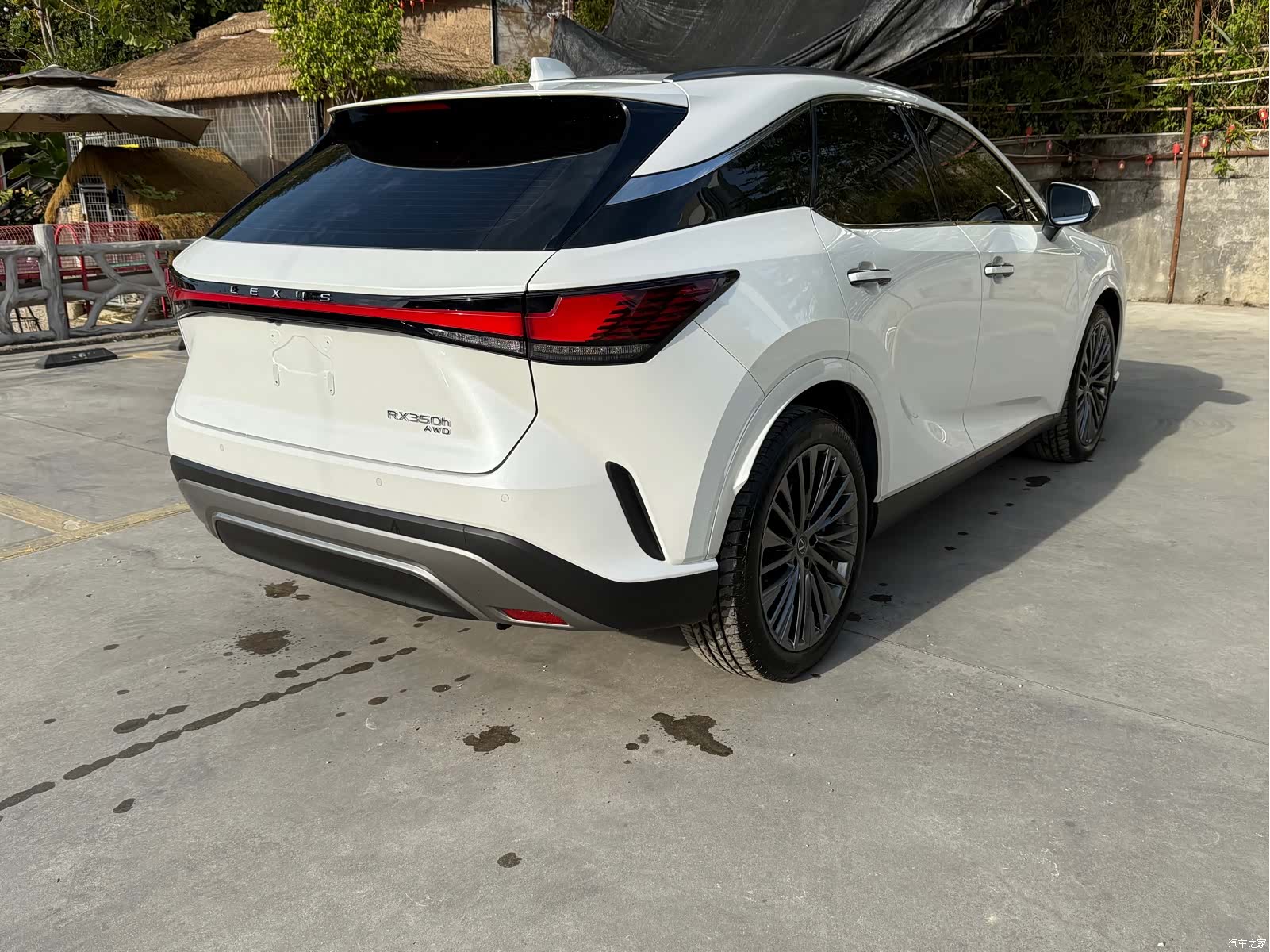 Lexus RX, 2024 4