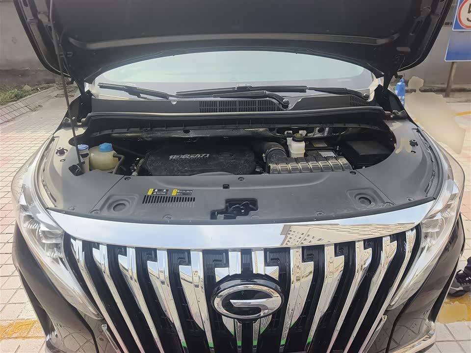 Trumpchi Trumpchi M8