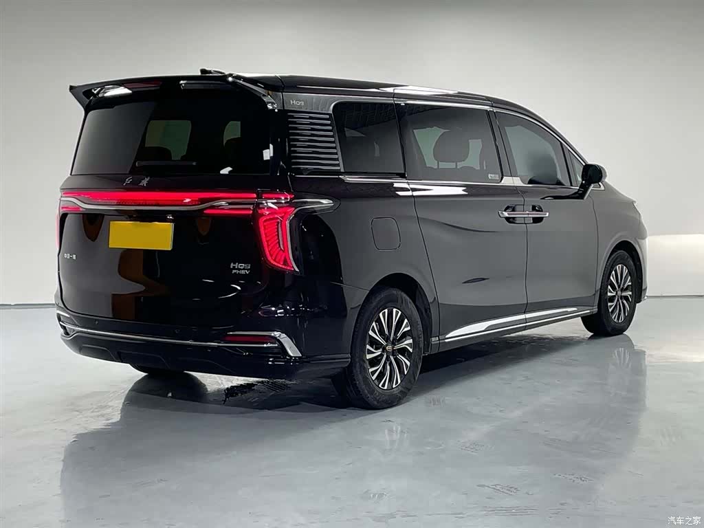 Hongqi HQ9, 2024 6