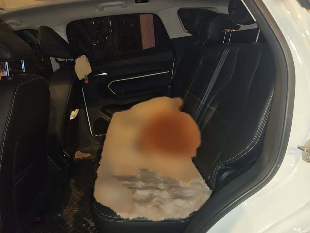 Haval H6, 2019 15