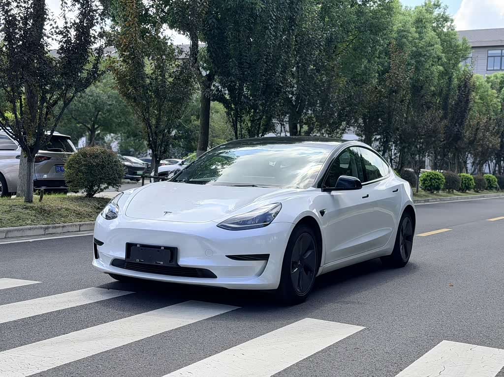 Tesla Model 3 2021 3D6
