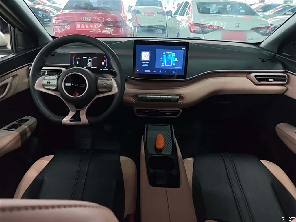 BYD Seagull, 2024 10