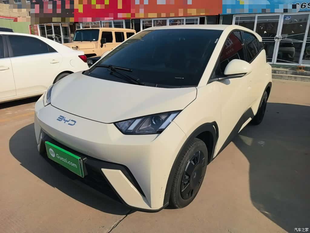 BYD Seagull, 2024 1