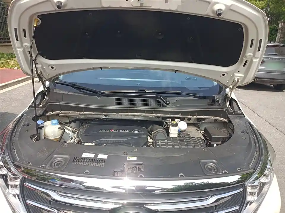 Trumpchi Trumpchi M8