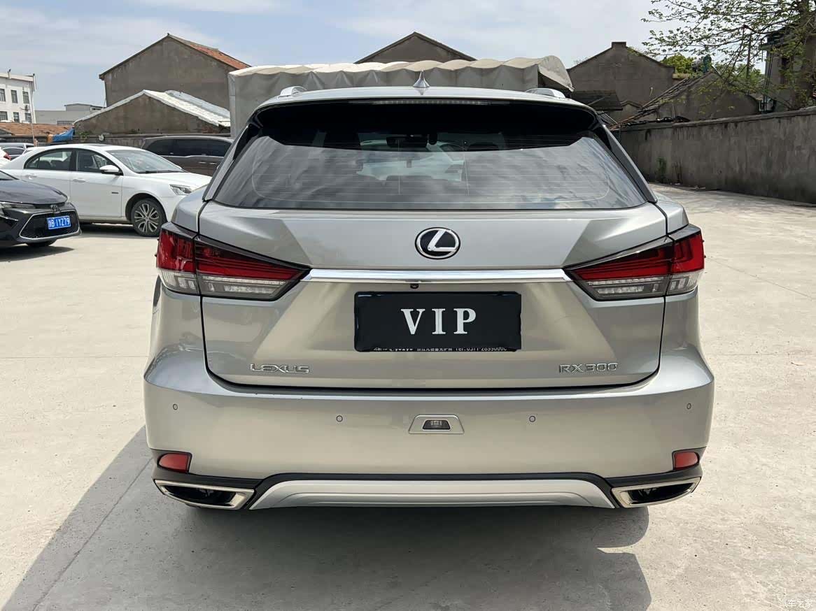 Lexus RX, 2020 16