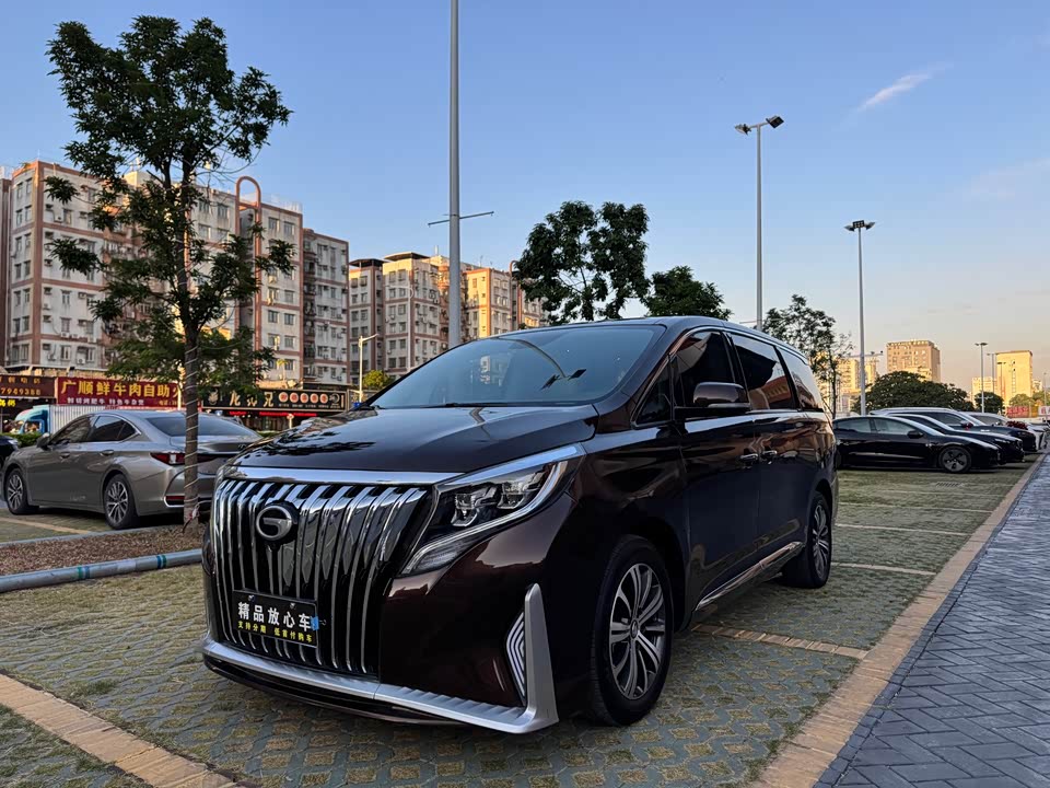 Trumpchi Trumpchi M8