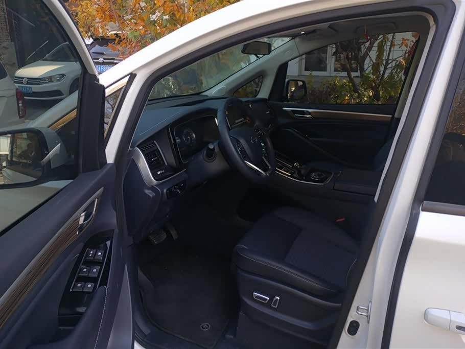 Trumpchi Trumpchi M8