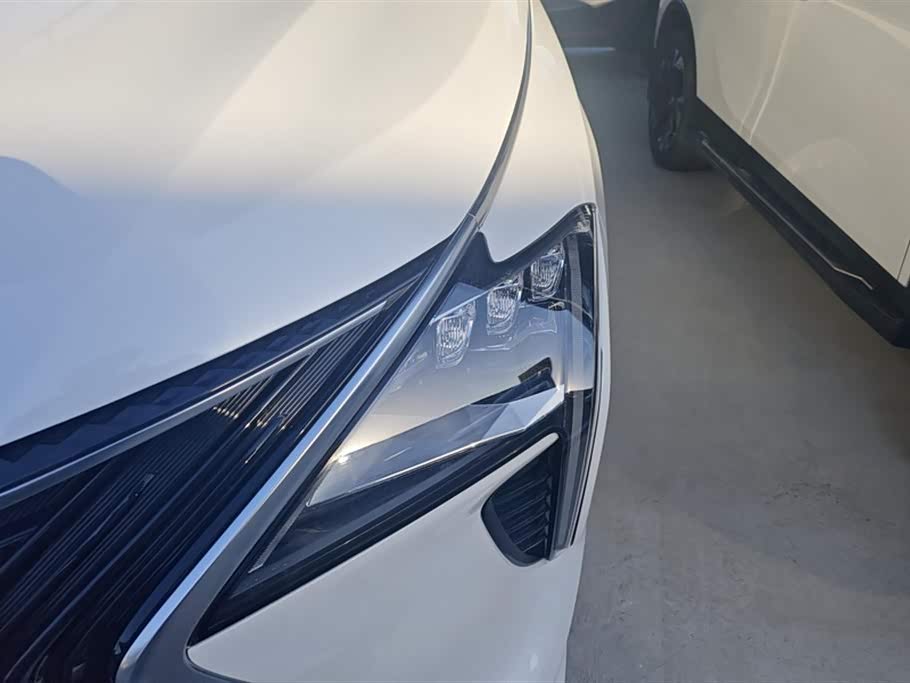 Forthing Popular yachts