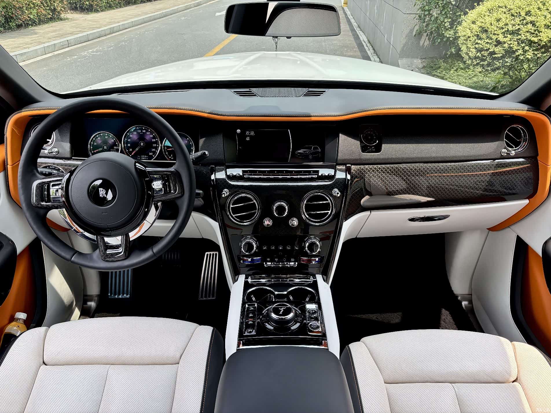 Rolls-Royce Cullinan, 2022 все фото
