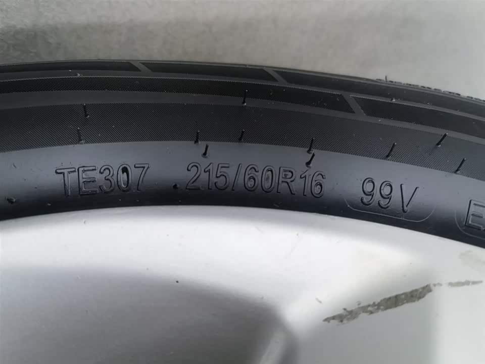 Forthing Lingzhi PLUS