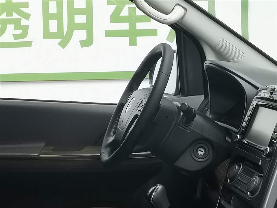 Forthing Lingzhi PLUS