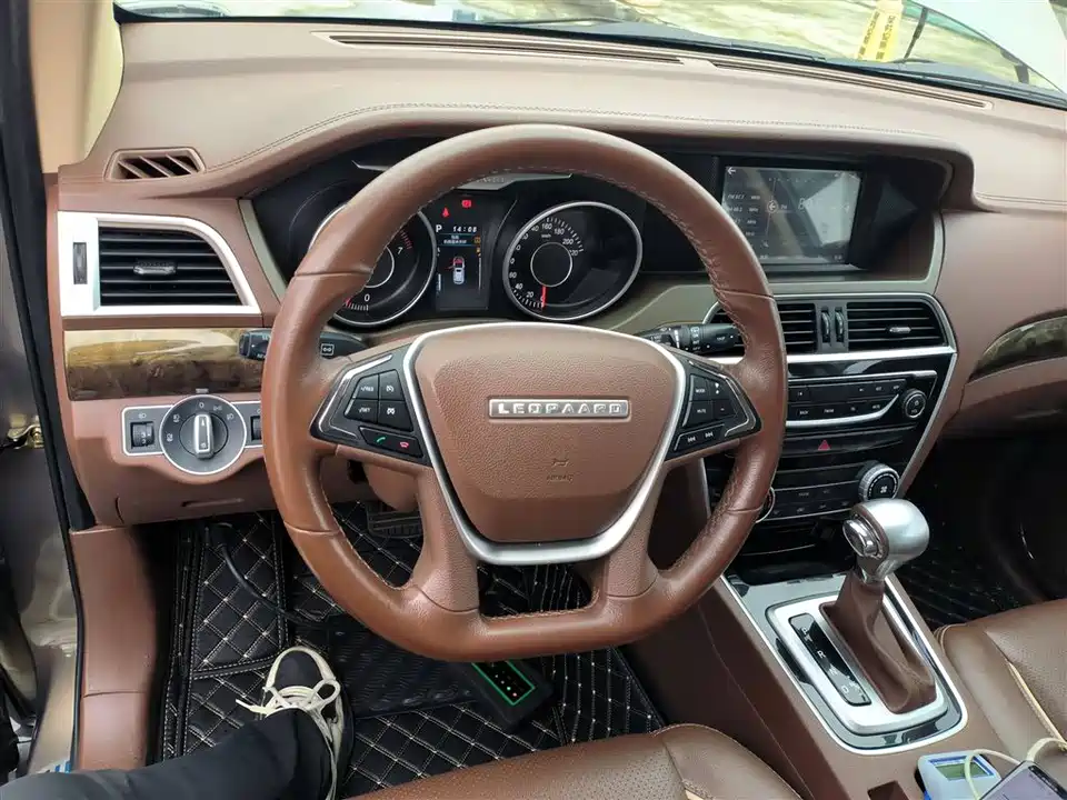 Leopaard Cheetah CS10