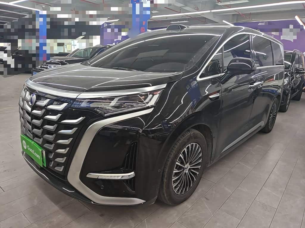 Denza D9
