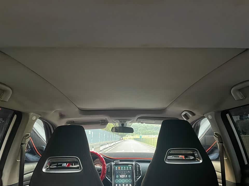 Leopaard Cheetah CS9