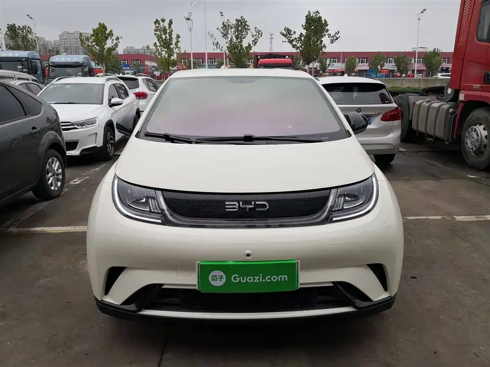 BYD dolphin