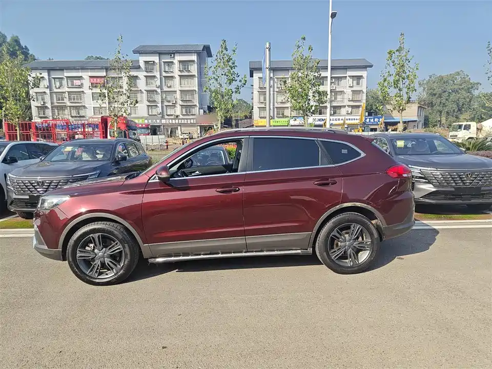 Leopaard Cheetah CS10