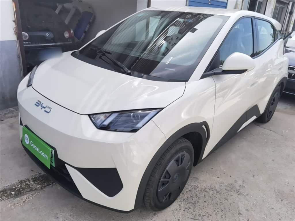 BYD Seagull