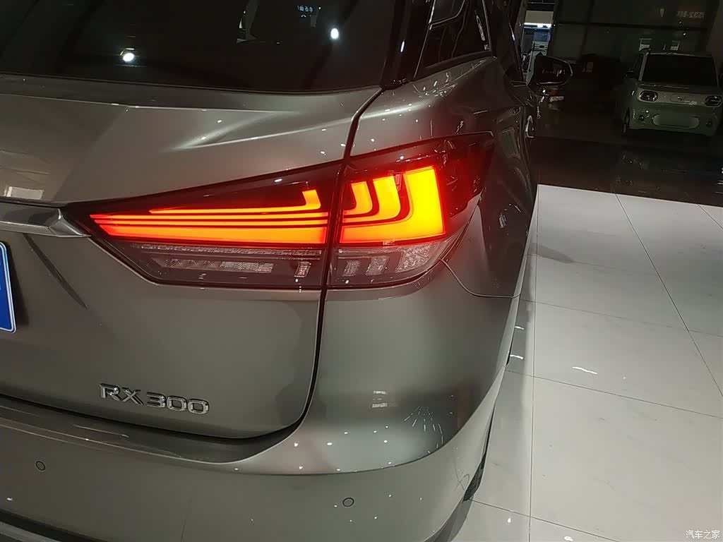 Lexus RX, 2022 20