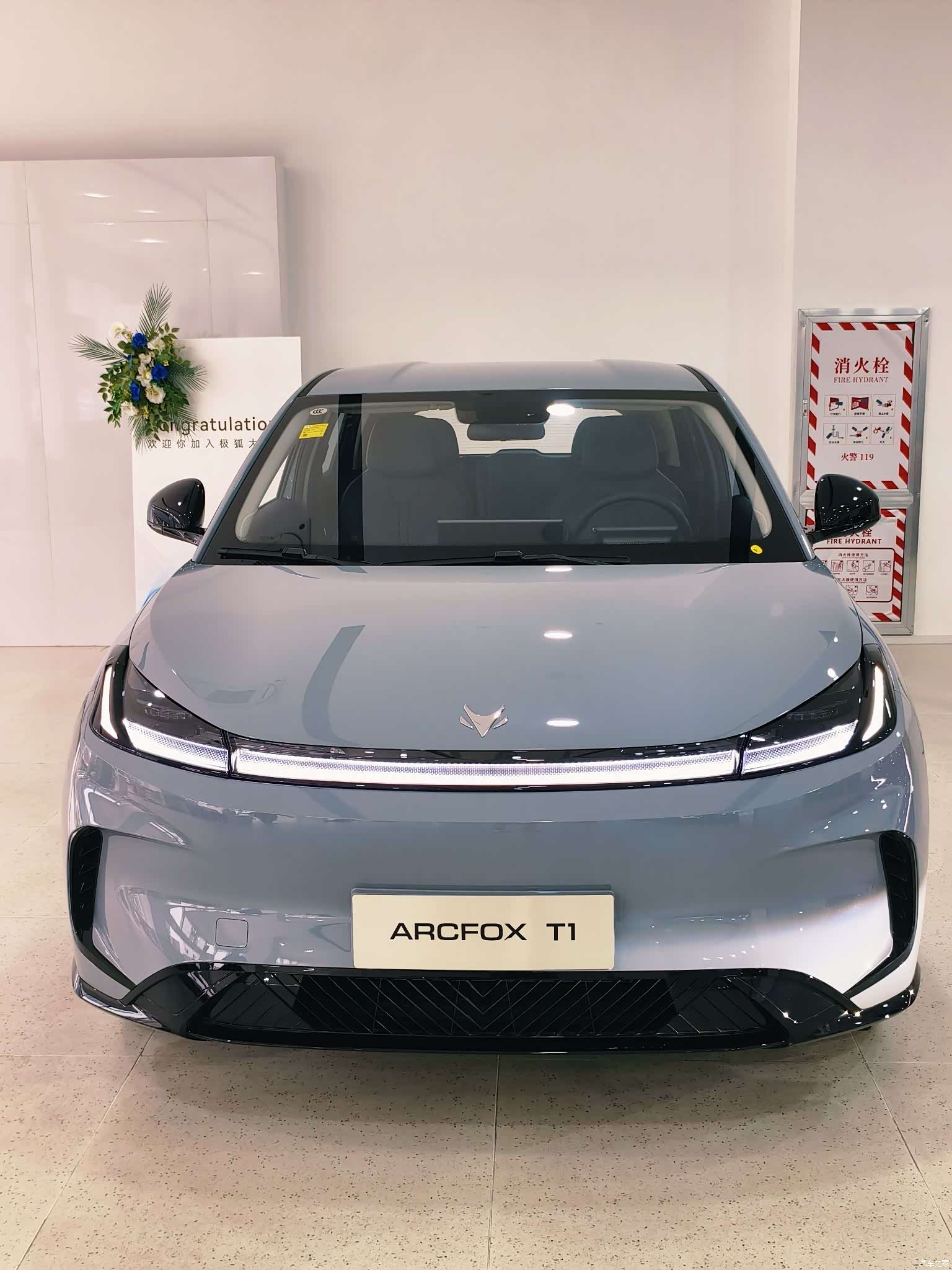 BAIC T1