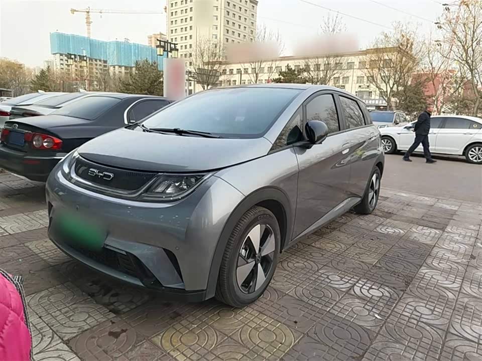 BYD dolphin
