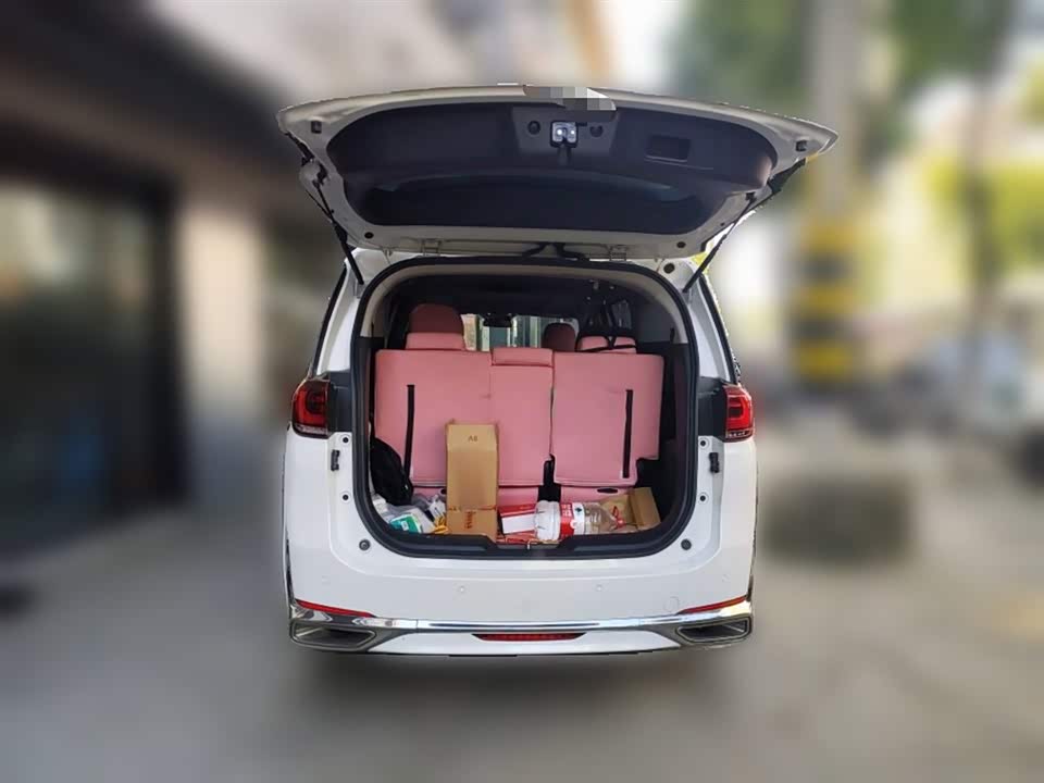 Trumpchi Trumpchi M8