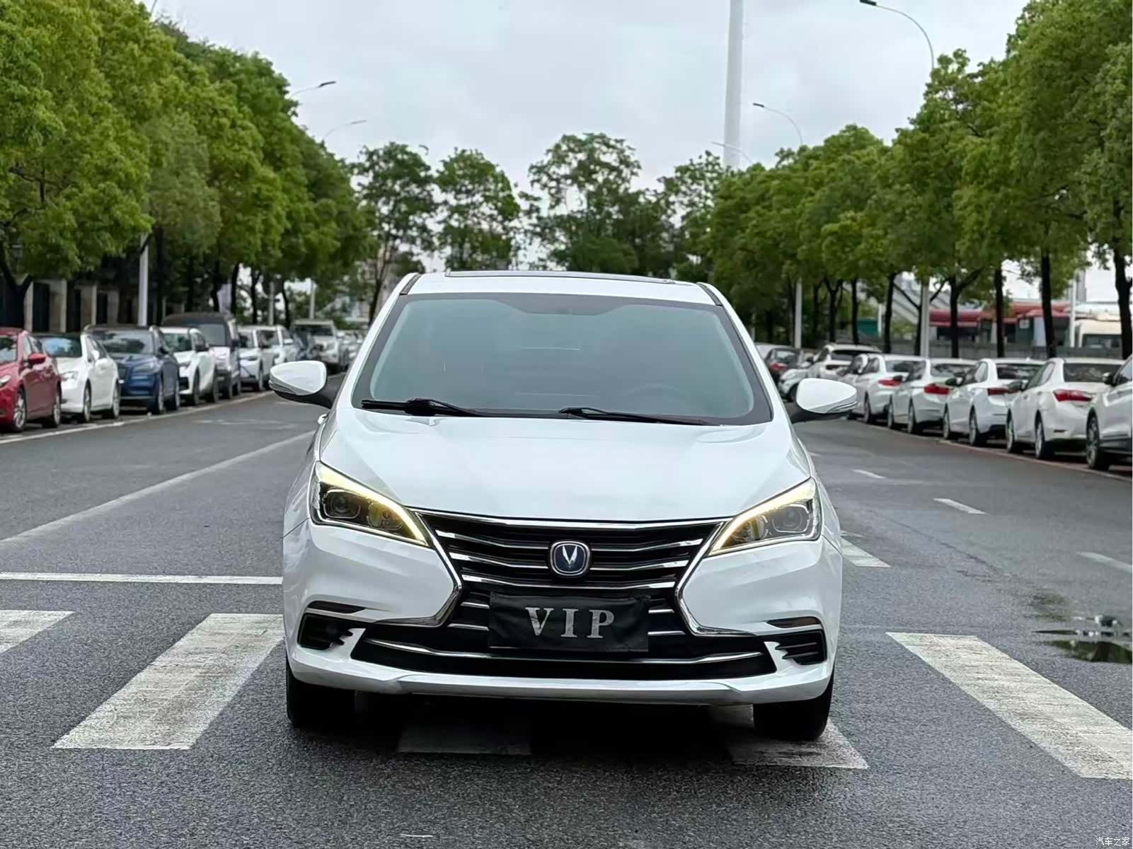 Changan Eado, 2019 2