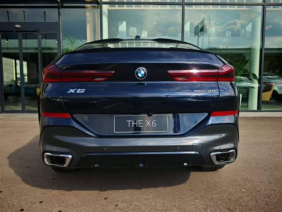 BMW X6