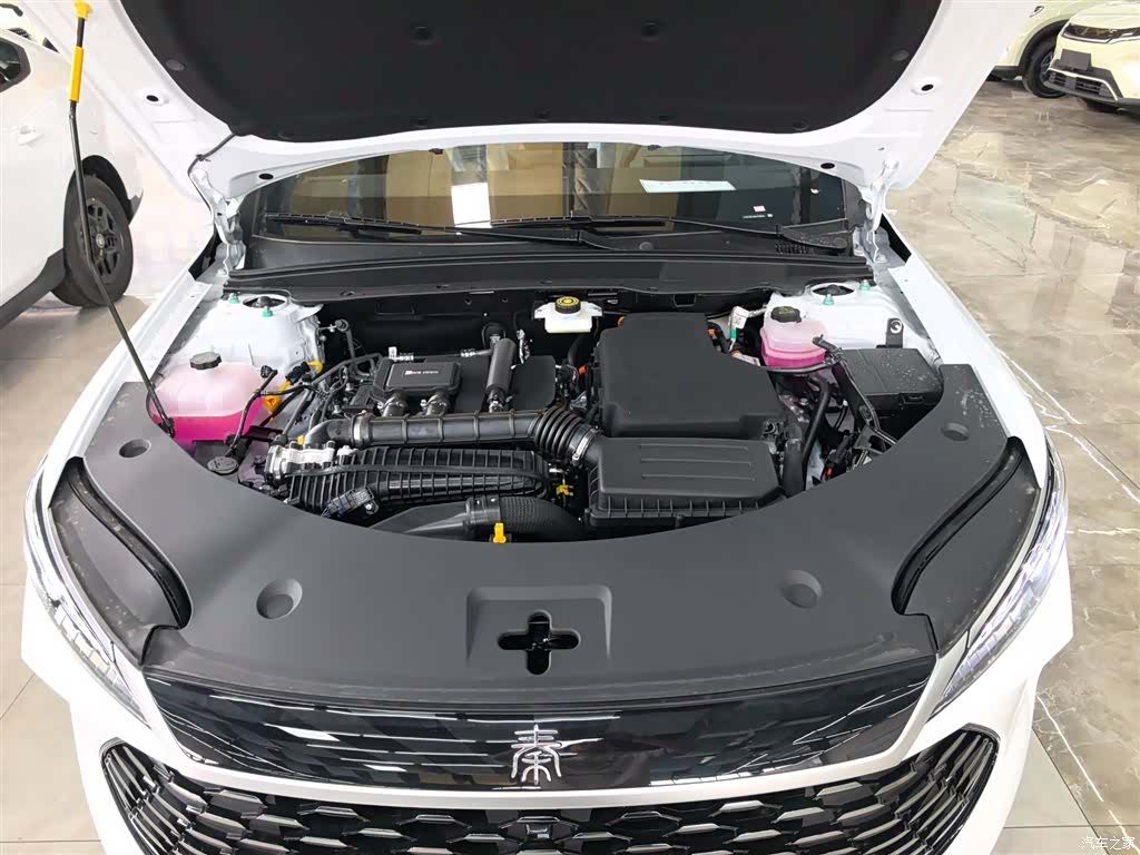 BYD Qin, 2026 20