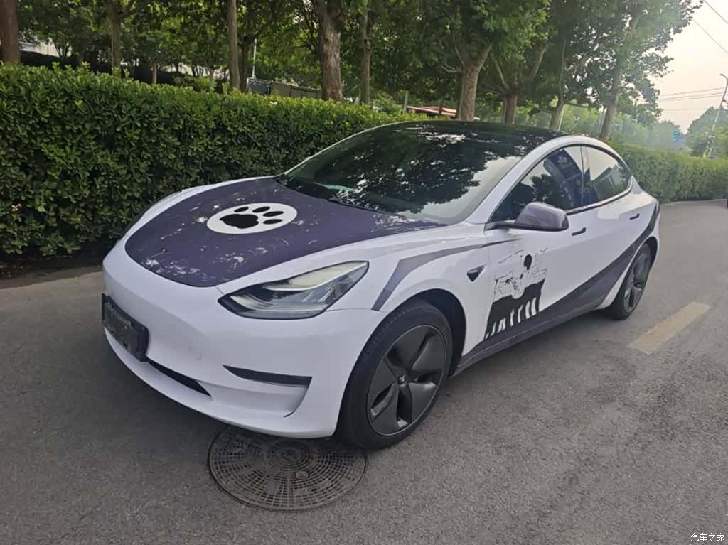Tesla Model 3, 2019 1