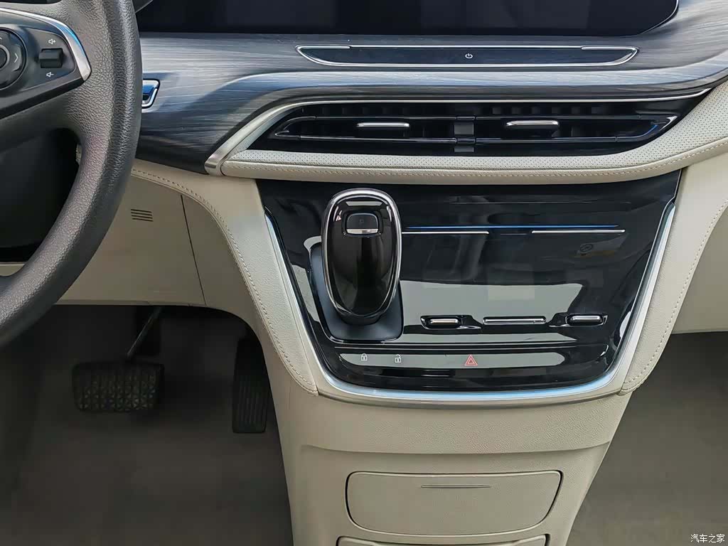 Buick GL8, 2020 13