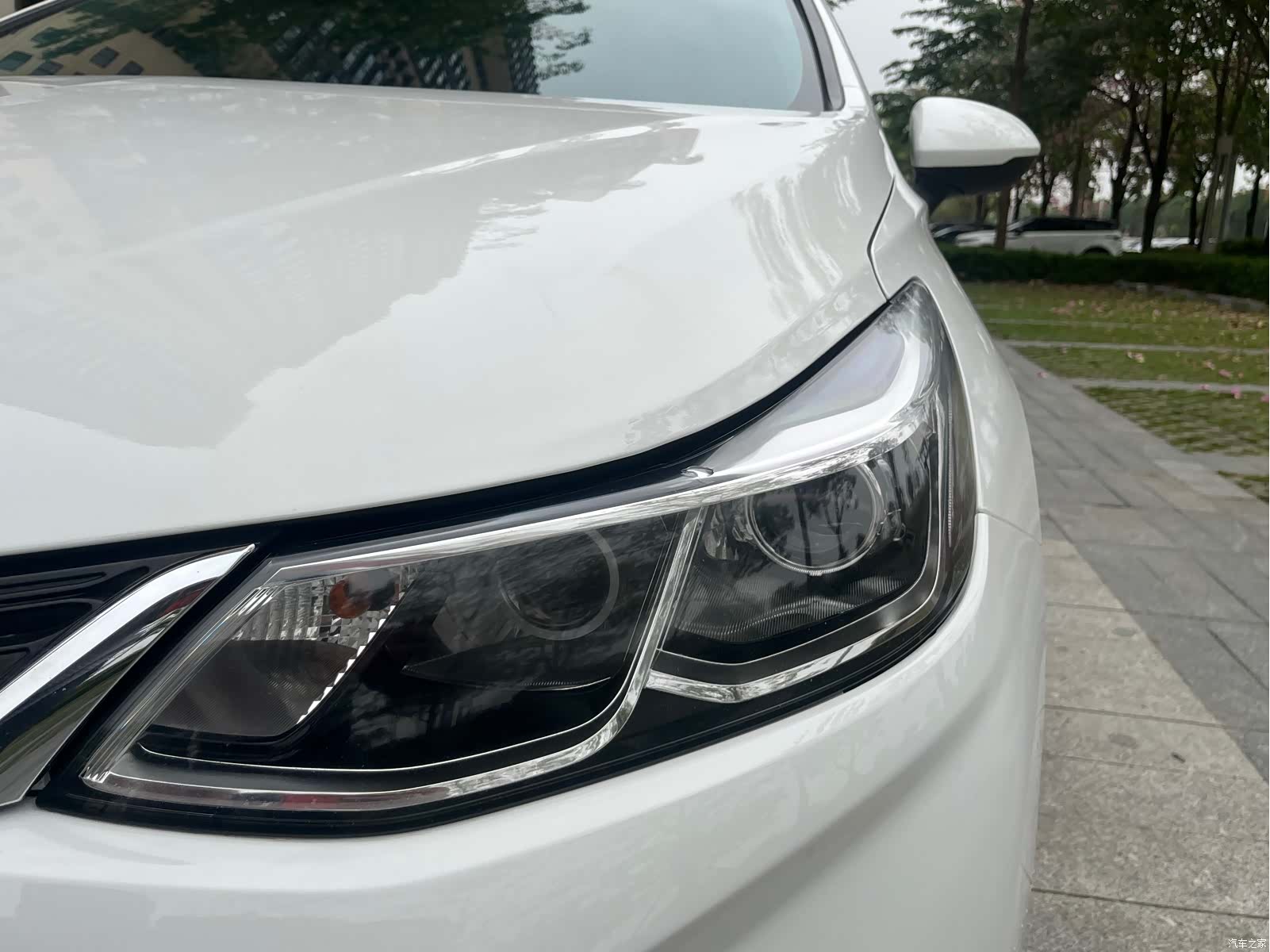 Chevrolet 320, 2017 14