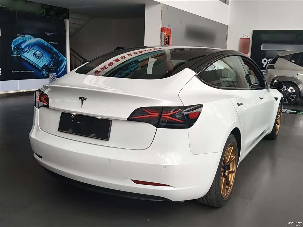 Tesla Model 3, 2021 7