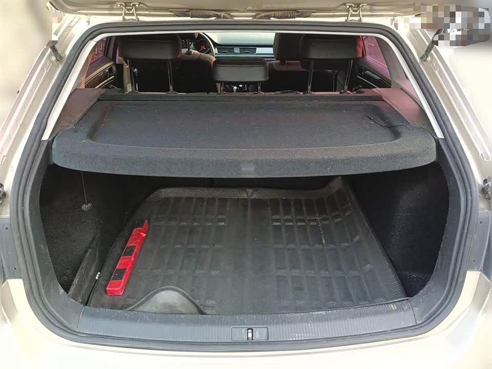 Volkswagen C-TREK Wei Collar