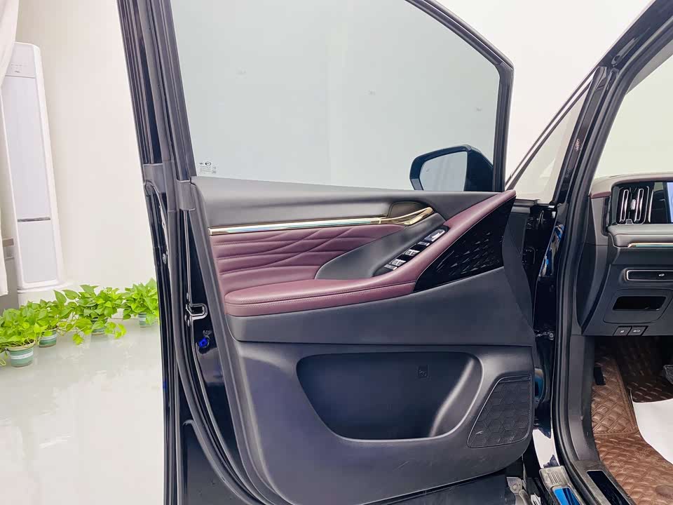 Trumpchi Trumpchi M8