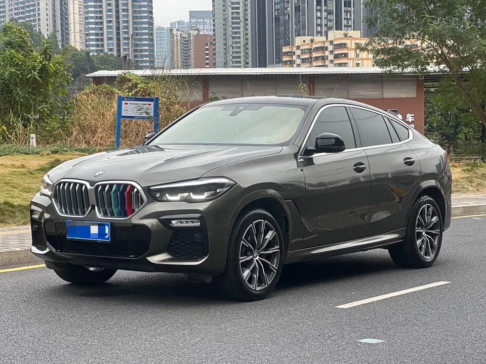 BMW X6