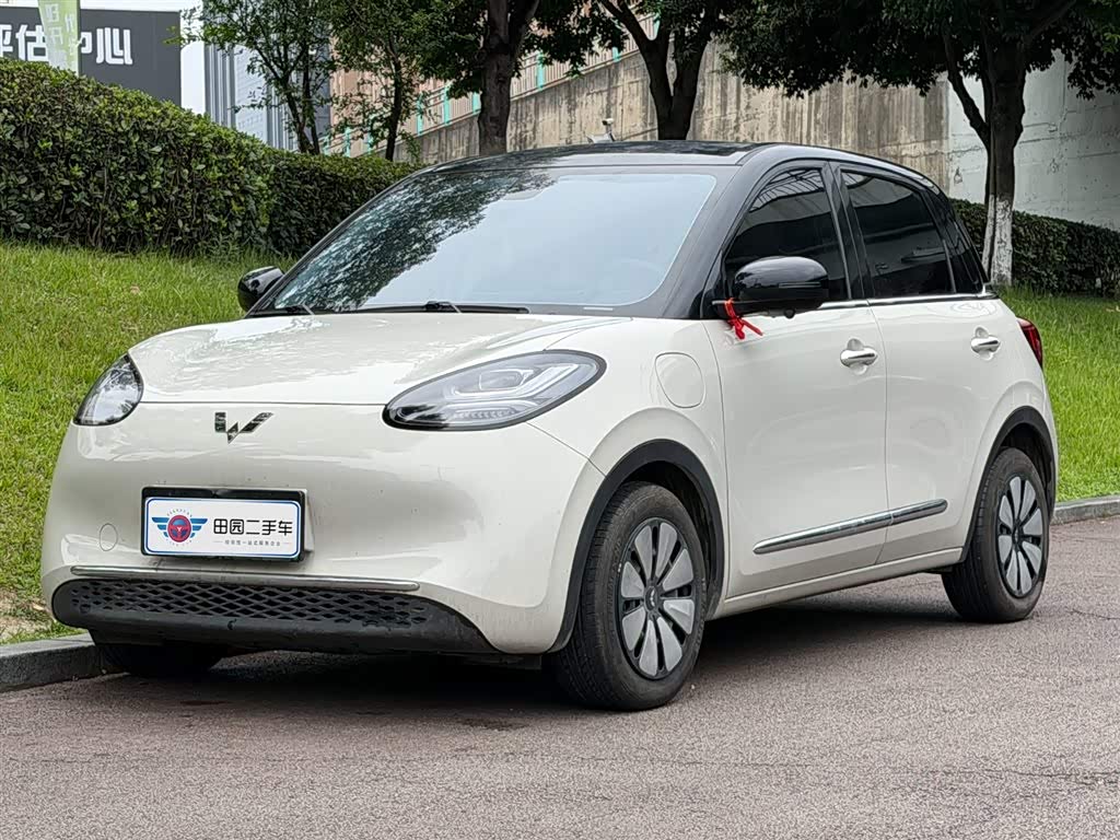 Wuling Binguo