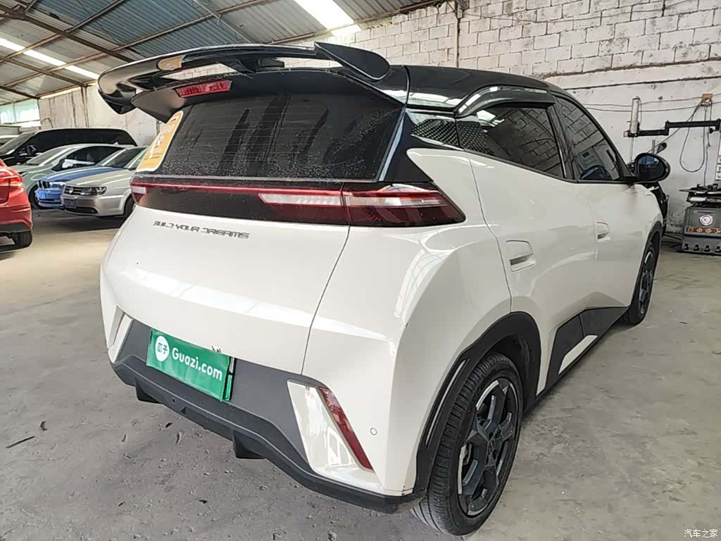 BYD Seagull, 2024 7