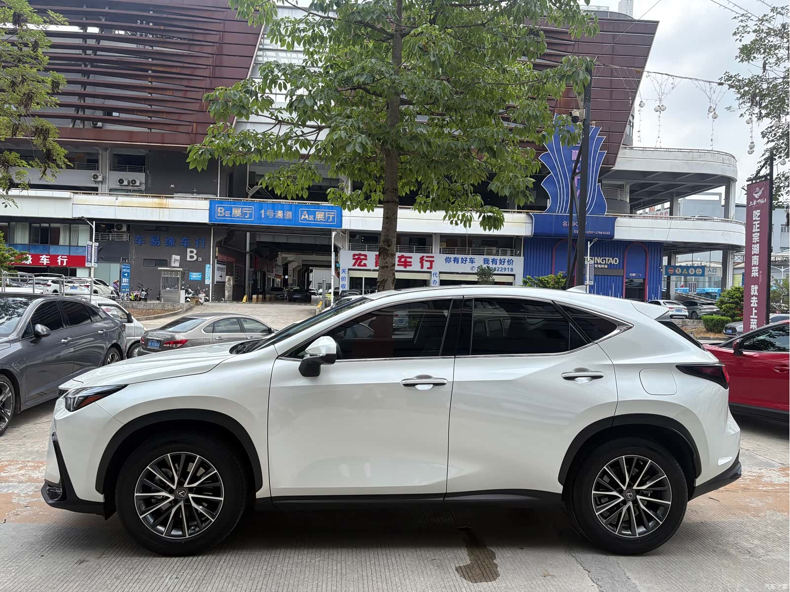 Lexus NX, 2023 7