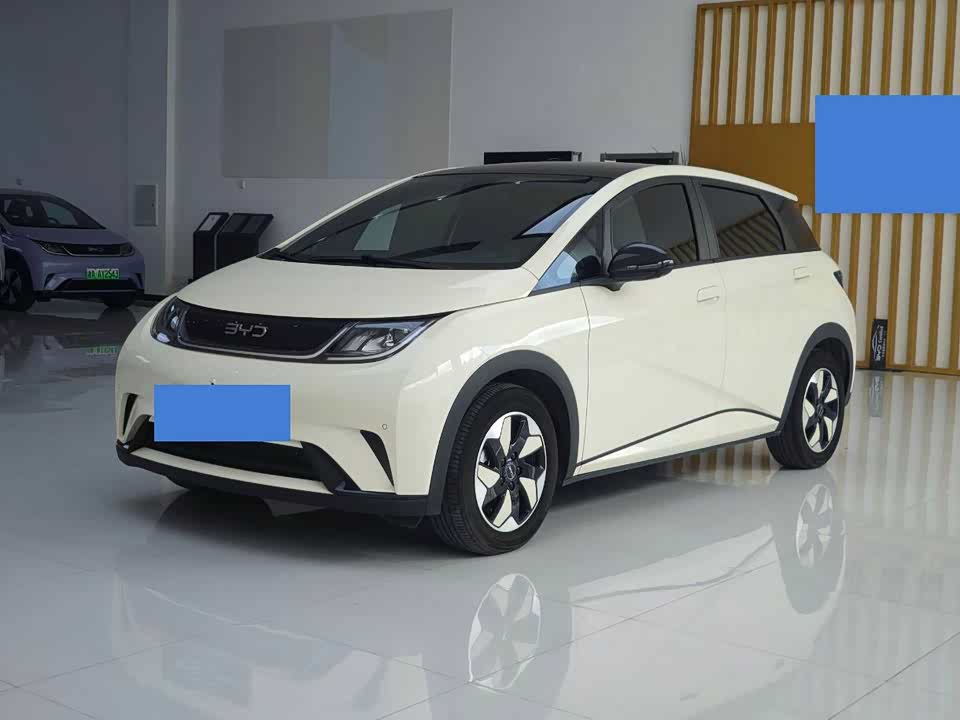 BYD dolphin