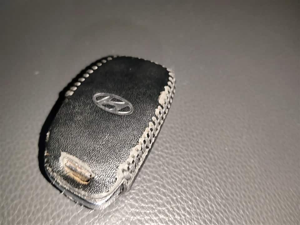 Hyundai Name picture